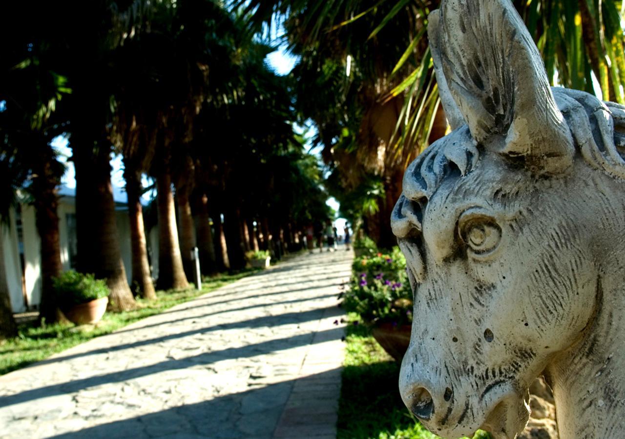 Cilento Resort Villaggio Velia Marina Di Casal Velino Zewnętrze zdjęcie
